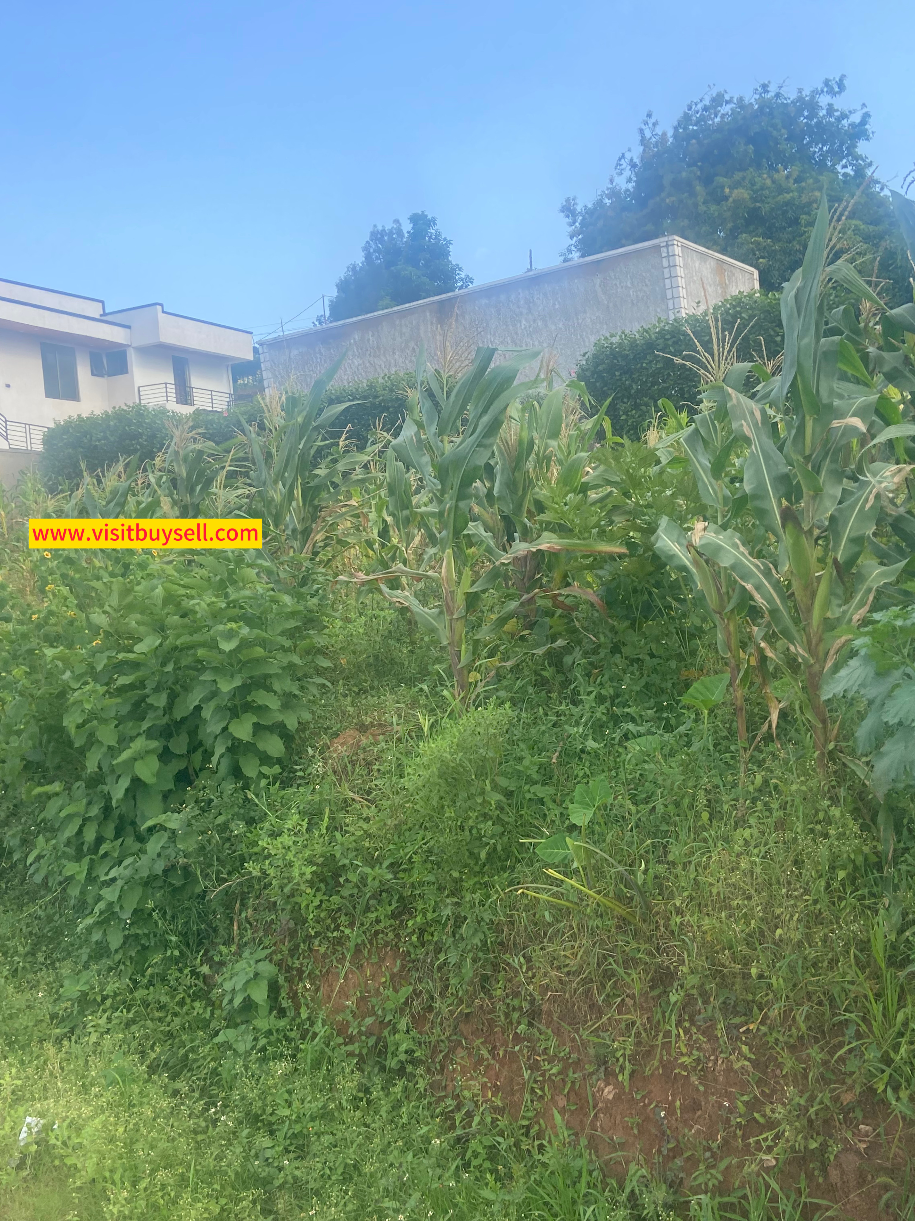 Grand Plot for Sale – Rebero, Kigali